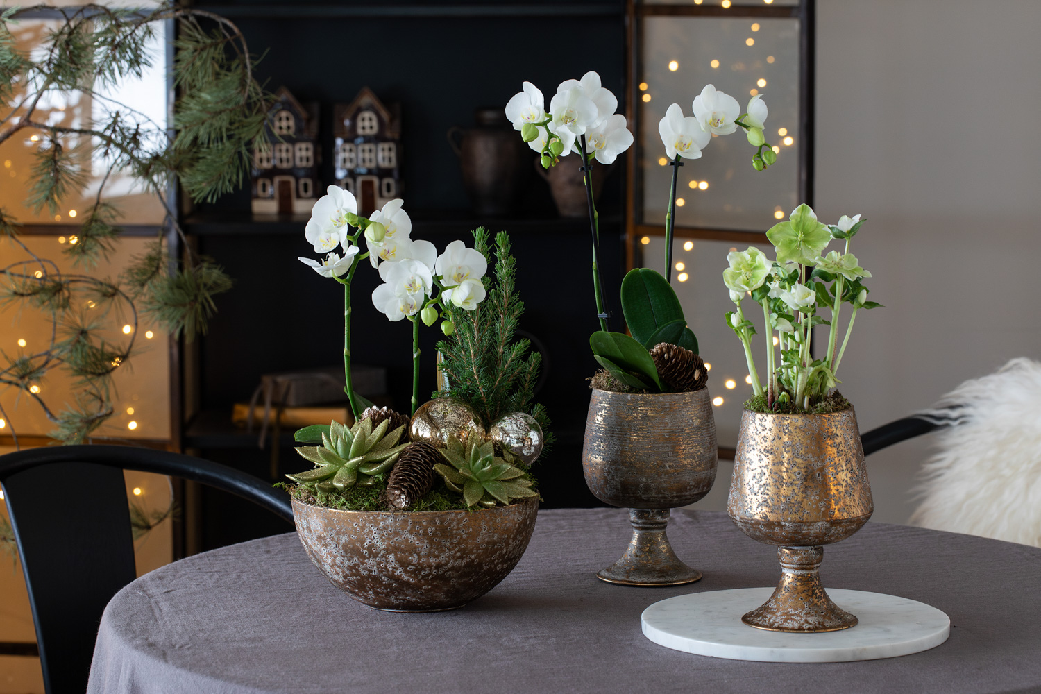 Julegrupper med orkide